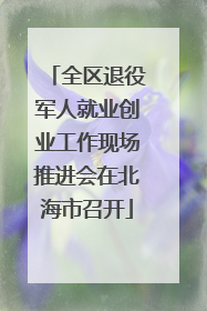 全区退役军人就业创业工作现场推进会在北海市召开