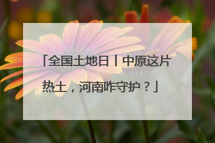 全国土地日丨中原这片热土，河南咋守护？