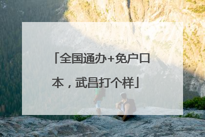 全国通办+免户口本，武昌打个样