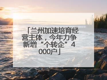 兰州加速培育经营主体，今年力争新增“个转企”4000户