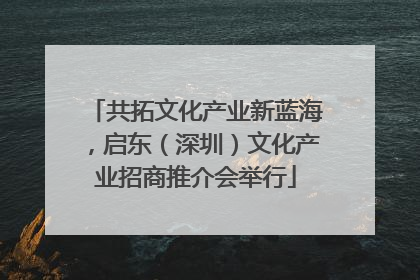 共拓文化产业新蓝海，启东（深圳）文化产业招商推介会举行