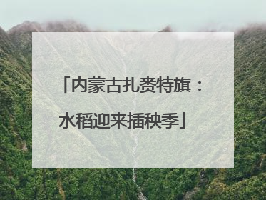 内蒙古扎赉特旗：水稻迎来插秧季