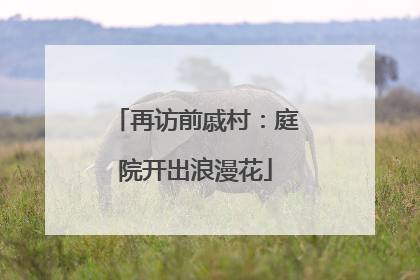 再访前戚村：庭院开出浪漫花