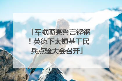 军歌嘹亮誓言铿锵！英德下太镇基干民兵点验大会召开