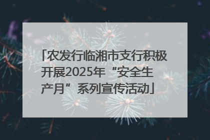 农发行临湘市支行积极开展2025年“安全生产月”系列宣传活动