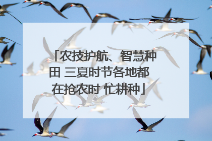 农技护航、智慧种田 三夏时节各地都在抢农时 忙耕种