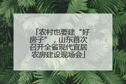 农村也要建“好房子”，山东首次召开全省现代宜居农房建设现场会