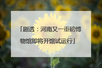 剧透：河南又一重磅博物馆即将开馆试运行
