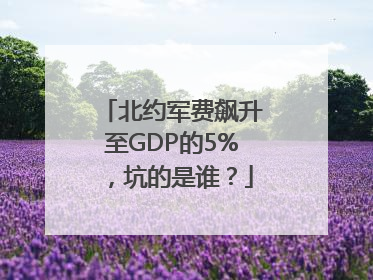北约军费飙升至GDP的5%，坑的是谁？