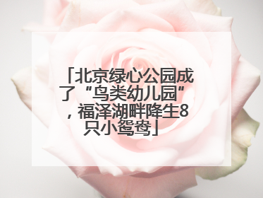 北京绿心公园成了“鸟类幼儿园”，福泽湖畔降生8只小鸳鸯