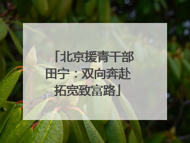 北京援青干部田宁：双向奔赴拓宽致富路