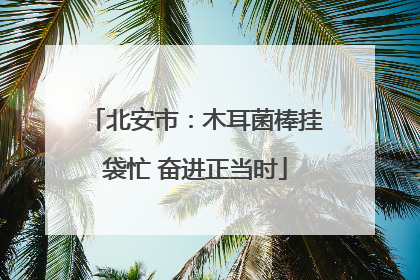 北安市：木耳菌棒挂袋忙 奋进正当时