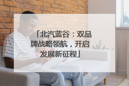 北汽蓝谷：双品牌战略领航，开启发展新征程