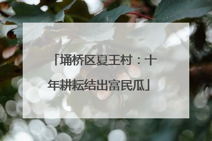 埇桥区夏王村：十年耕耘结出富民瓜