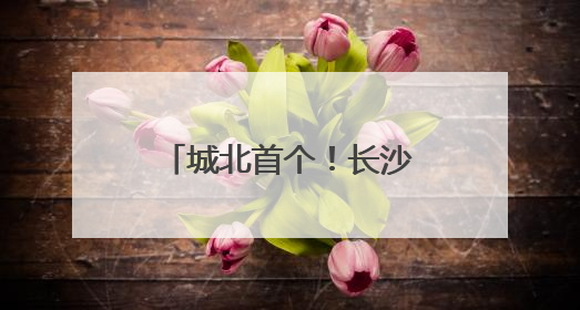 城北首个！长沙传化机动车登记服务站开工，预计8月投入运营