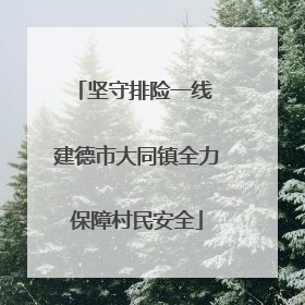 坚守排险一线 建德市大同镇全力保障村民安全