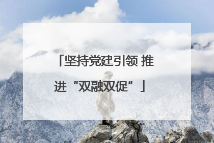 坚持党建引领 推进“双融双促”