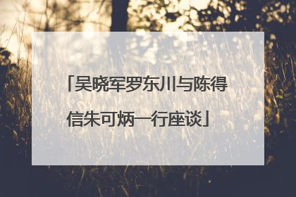 吴晓军罗东川与陈得信朱可炳一行座谈