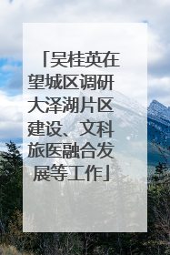 吴桂英在望城区调研大泽湖片区建设、文科旅医融合发展等工作