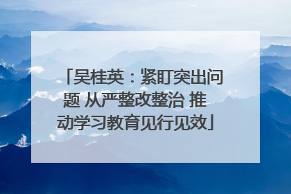 吴桂英：紧盯突出问题 从严整改整治 推动学习教育见行见效