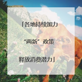 各地持续加力“两新”政策 释放消费潜力