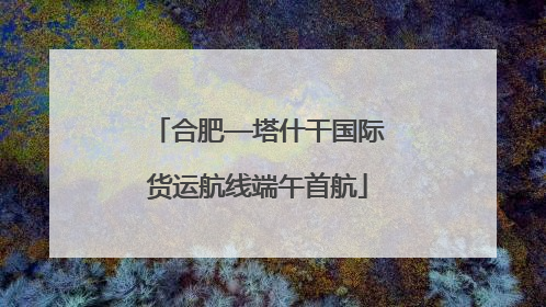 合肥—塔什干国际货运航线端午首航