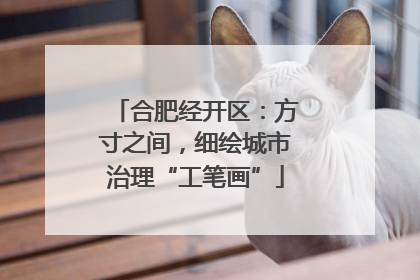 合肥经开区：方寸之间，细绘城市治理“工笔画”