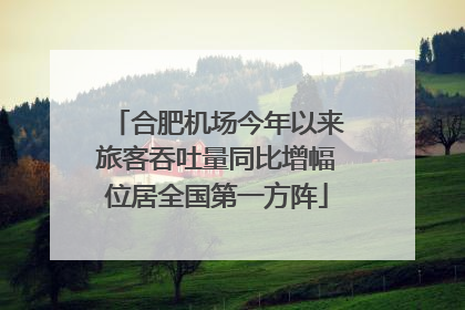 合肥机场今年以来旅客吞吐量同比增幅位居全国第一方阵