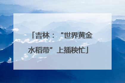吉林：“世界黄金水稻带”上插秧忙