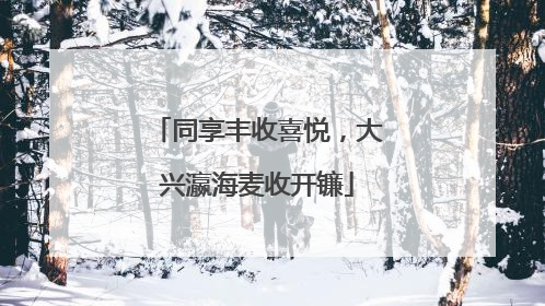 同享丰收喜悦，大兴瀛海麦收开镰