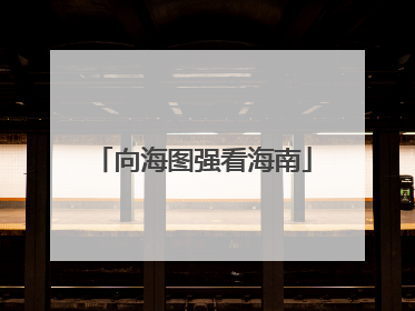 向海图强看海南