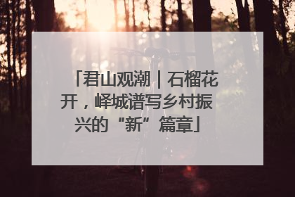 君山观潮｜石榴花开，峄城谱写乡村振兴的“新”篇章