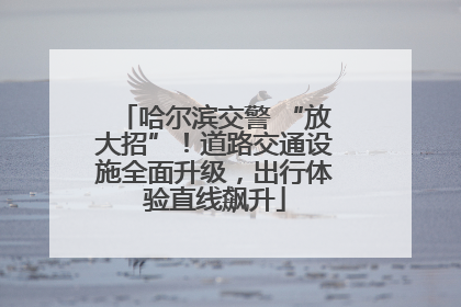 哈尔滨交警 “放大招”！道路交通设施全面升级，出行体验直线飙升