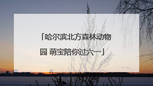 哈尔滨北方森林动物园 萌宝陪你过六一