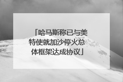 哈马斯称已与美特使就加沙停火总体框架达成协议