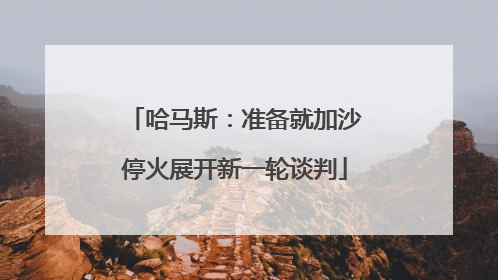 哈马斯：准备就加沙停火展开新一轮谈判