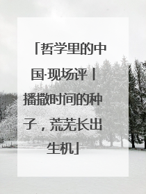 哲学里的中国·现场评丨播撒时间的种子，荒芜长出生机