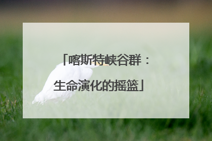喀斯特峡谷群：生命演化的摇篮
