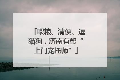 喂粮、清便、逗猫狗，济南有帮“上门宠托师”