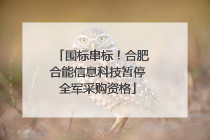 围标串标！合肥合能信息科技暂停全军采购资格