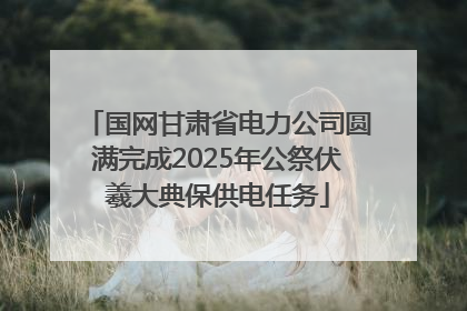 国网甘肃省电力公司圆满完成2025年公祭伏羲大典保供电任务