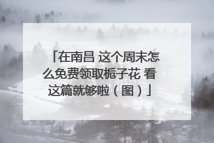 在南昌 这个周末怎么免费领取栀子花 看这篇就够啦（图）