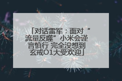 对话雷军：面对“流量反噬”小米会谨言慎行 完全没想到玄戒O1大受欢迎