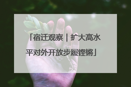 宿迁观察｜扩大高水平对外开放步履铿锵