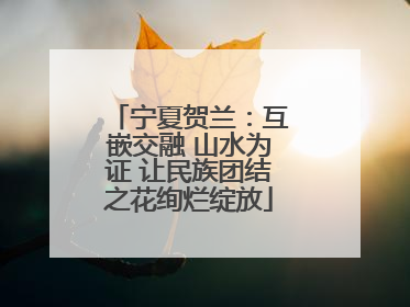 宁夏贺兰：互嵌交融 山水为证 让民族团结之花绚烂绽放