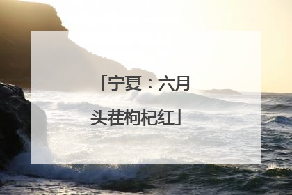 宁夏：六月头茬枸杞红