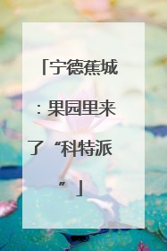 宁德蕉城：果园里来了“科特派”