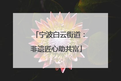 宁波白云街道：非遗匠心助共富