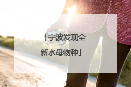 宁波发现全新水母物种