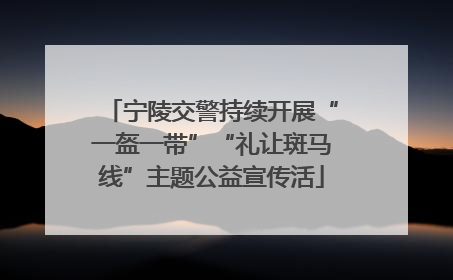 宁陵交警持续开展“一盔一带”“礼让斑马线”主题公益宣传活